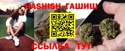 твердый Кингисепп