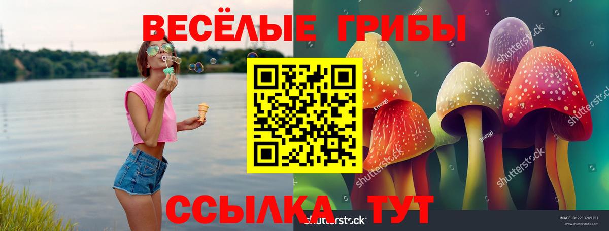 Псилоцибиновые грибы Magic Shrooms  Вход с VPN  сколько стоит  Геленджик 